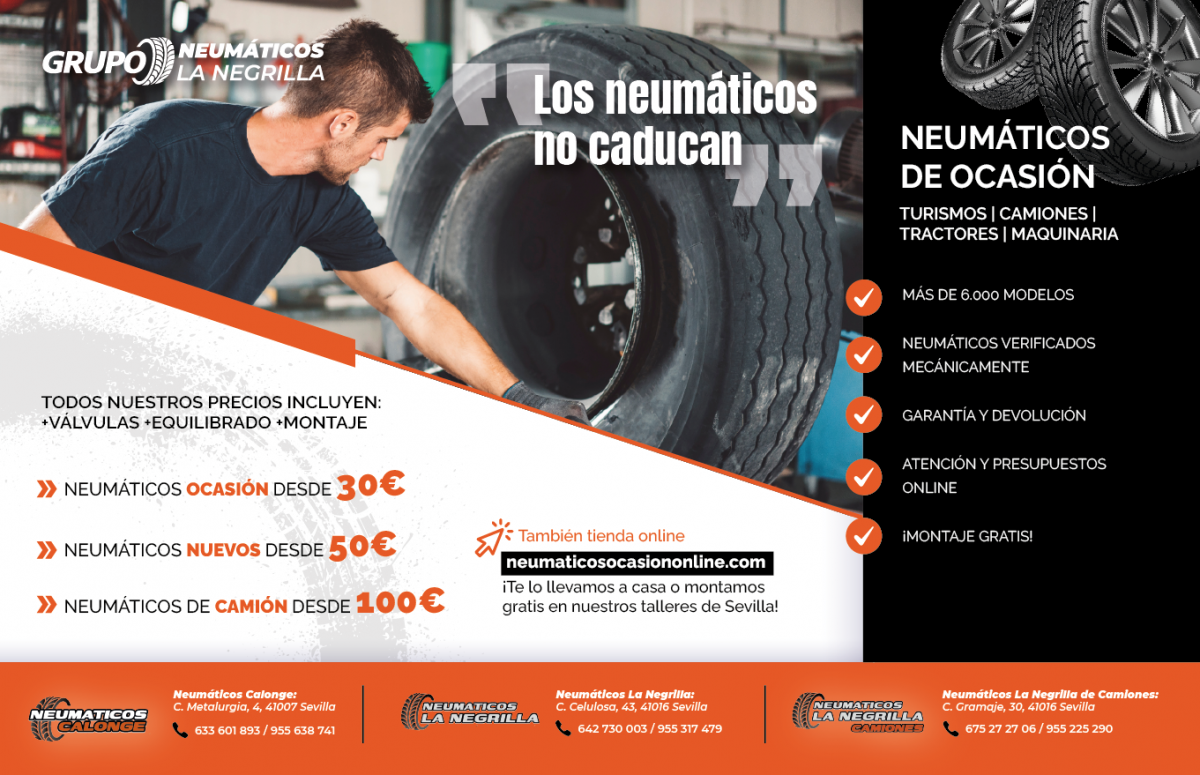 neumaticos en sevilla